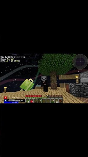 Titanium sword at the start of the game!! - #tulipanoverde #projectozone1 #po1