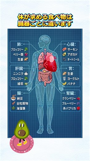 体が求める食べ物は臓器ごとに違います #臓器に良い食べ物 #シニアの食事 #健康習慣 #食生活改善 #体にいい食べ物