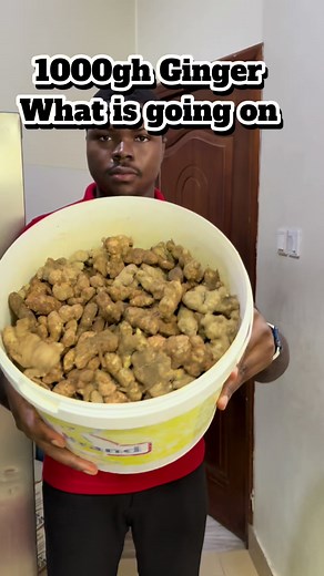 Ginger Farming in Ghana: 1000gh Ginger Price & Tips