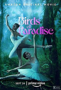 Review, Summary, Analysis: Birds of Paradise (2021) — Ashley Hajimirsadeghi