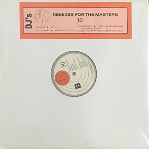 Various - Remixes For The Masters 30