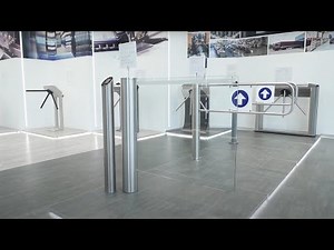 WMD-06 motorized swing gate