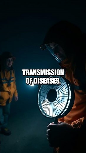 The Sand Fly’s Hidden Toll