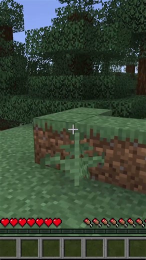 If I see a pig, the video stops!! (Claqué 40 Challenges) #minecraft