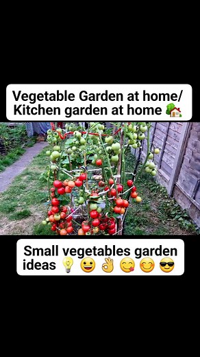 Small vegetables garden design ideas | vegetable garden at home | kitchen garden at home #garden #gardening #vegetablegarden | Home Gardening UK