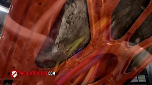 Mouse Blocker TV Spot, 'Protect Your Space and Your Vehicle'