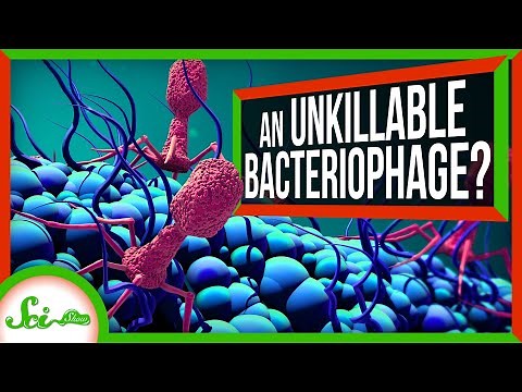 The Virtually-Unkillable Virus That Makes Itself a Nucleus