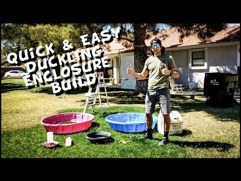 How to make a duckling enclosure! Quick, easy and cheap!