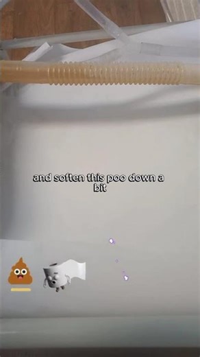 This gurgle = your body releasing gas pockets