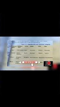 How to Revise Anything: Simple Steps That Actually Work