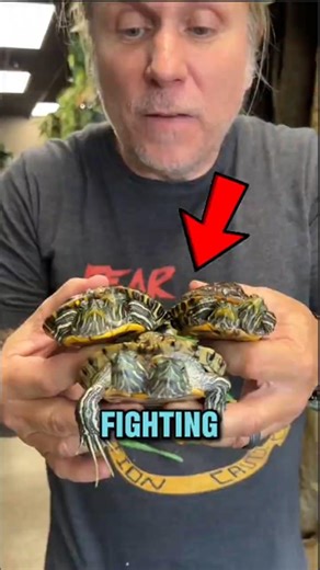 5 REAL Two-Headed Animals That Actually Exist… Wait Until #1! 😱