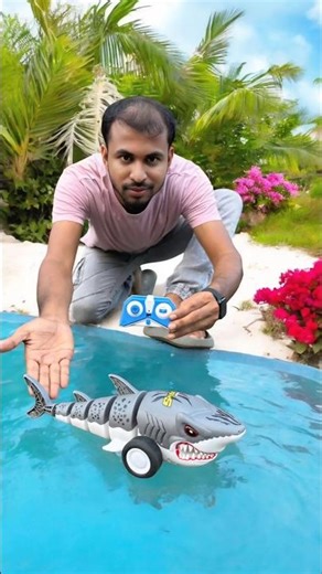 Remote Control Big Shark Fish Unboxing #shark