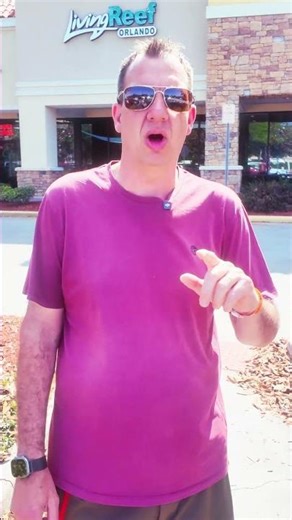 How cool is this fish store! 🔥🪸 #reeftank #livingreef #coralreeftank #saltwateraquarium #corals