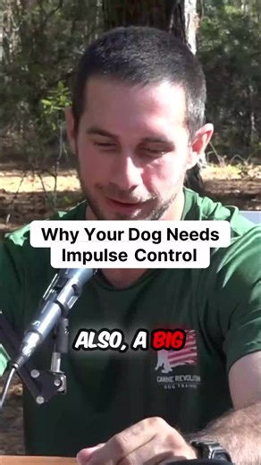 Your rescue dog's impulse control problems are about to spiral 😬 Can't settle. Can't stay calm. Reacts to everything. If you don't fix it now, it gets WORSE. 📈 Train these NOW: ✅ Down stay ✅ Place command ✅ Impulse control exercises Within the first 3 months, you'll know if you're in over your head. 🚨 That's when you need professional help. DON'T wait until it's a major problem. DON'T let bad behaviors get reinforced for months. Get help early. Save yourself months of frustration. ⏰ Are you d