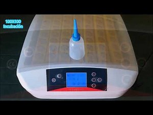 Automatic incubator for 56 eggs