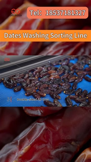 Date washing and grading taking too much labor with inconsistent results? This automated line is your key to quality and efficiency! The automatic date washing and grading line is designed for gentle cleaning, efficient drying, and accurate size grading. It enhances product appearance and consistency, supporting higher-value packaging and export requirements. ✅Thoroughly cleaned, preserving fruit peel integrity. ✅Accurate grading, reducing reliance on manual labor. ✅Continuous operation, high ef