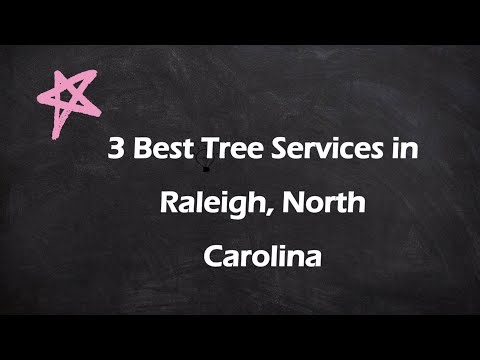 3 Best Tree Services in Raleigh, North Carolina | Arborists
