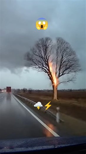 I Saw LIGHTNING Hit a Tree While I Was Driving