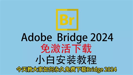 BR安装教程，Bridge免费下载，Bridge安装教程