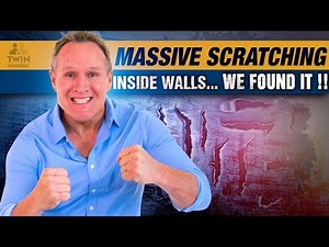 RATS in walls HOW to get them out........