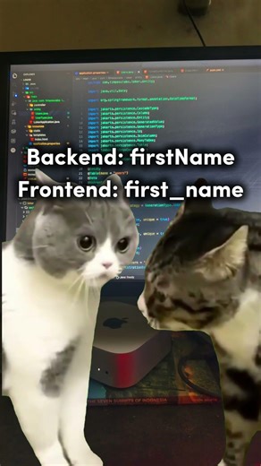 frontend backend programacion codigo