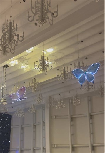 Bướm bay trong đám cưới: Thổi hồn vào ngày trọng đại