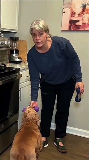 How to create a calming treat for your anxious dog