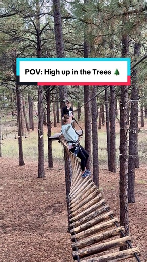 Touching grass, but make it an obstacle course. 🌲 I swear I saw a squirrel or two racing me. 🤭 Would you do this!? 👀 #flagstaff #arizonacheck #adventurecore #adultmoney #getoutside