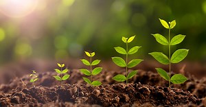 Fórum Familiar - Instituto de la Empresa Familiar