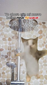 Yo ahora con mi nuevo boiler Heatwave. #Heatwave #Boiler #AguaCaliente #Meme #Frio | Heatwave