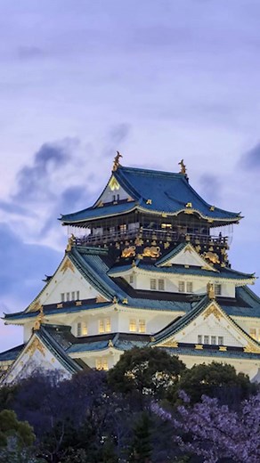 Exciting news! Our Summer 2025 cruises to #Japan are now on sale! Capture moments of tranquility and adventure as you sail through this amazing destination onboard our spectacular #DiamondPrincess. 🌸⛩️ #PrincessCruises #ILoveThis