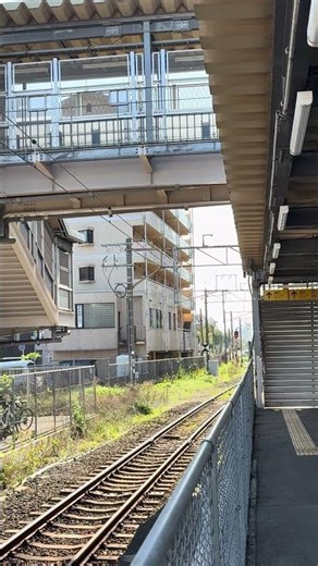 Japan's quiet charm: A local train station view