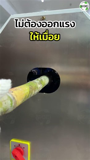 No strenuous effort required! An incredibly fast way to peel sugarcane.