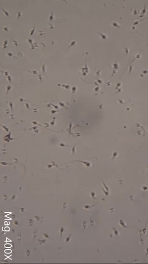 Врач Андрей Лычагин on TikTok