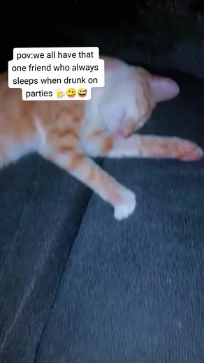 that one drunk friend on parties 🍺🥴😅😅#fyp #viral #animals #trending