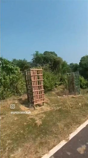 forest kawakol #bullet350 #rider