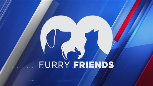 Furry Friends: Meet Mouse, RBG, and Orion