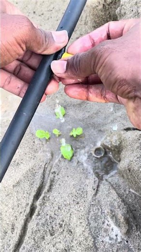 How To Control Water Flow (DIY Drip Irrigation) #drip #dripirrigation #shorts #agriculture