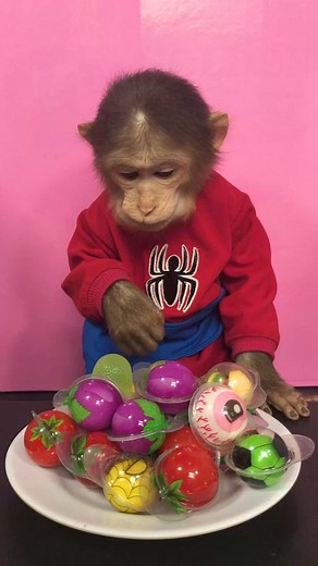 272K views · 1K reactions | Baby Monkey Bin with lots of Candy #review #lots #candy #funny #sleepybaby #sweetmonkey #monkeyplaying #monkey #monyet #funnymonkey #smartmonkey #monkeyreview #monyet #monyetmakan #cutemonkey #monyetlucu #reel #reelfb | Kera Lucu | Facebook