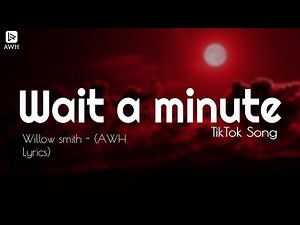 Willow Smith - Wait a minute! (AWH Lyrics) TikTok Song !!