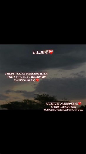 𝑳.𝑳.𝑩❤️🕊️#justiceforbrooklyn #foreverfifteen#resteasyangell