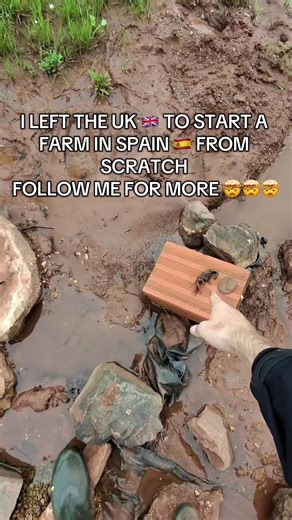 Building a Farm in Spain from Scratch