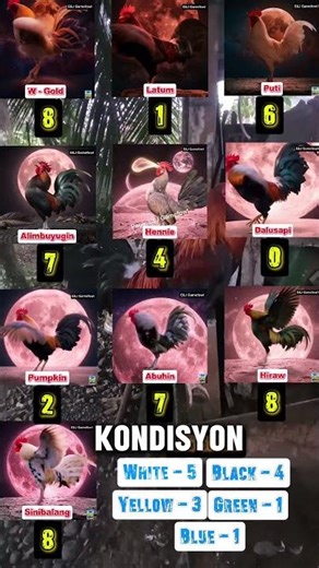 Color Code March 15 Part 1 #ytshorts #patukatips #educationalvideo