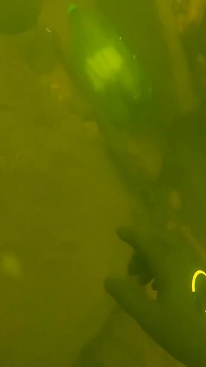 Exploring Underwater Treasures: Scuba Diving Adventure