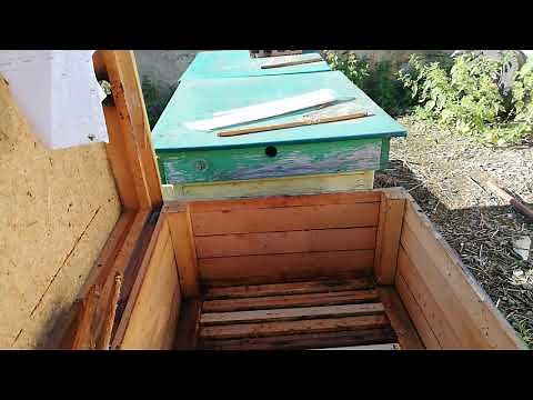 An effective and simple way to combat varroa. For beginners and beyond.