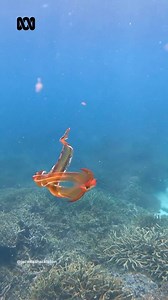 24K views · 550 reactions | A dreamy blanket.  ​ This ethereal...