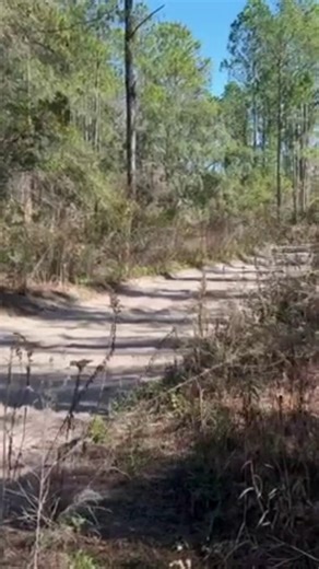 1K views | 3 DAYS TO GO!!!! Don't miss out on Round 3 of The FIRM's 2025 Rally-X Series THIS Saturday, September 27th! Spectators are always welcome and FREE! See you this weekend! #rallytime #motorsports #countdown | Florida International Rally & Motorsport Park | Facebook