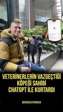 Owner Saves Dog That Veterinarians Abandoned Using ChatGPT: Cancer Vaccine from YZ!