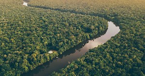 Guyane française : un paradis à l’état brut en terre d’Amazonie
