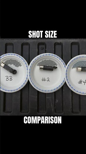 COMPARING SHOT SIZES! | SHOTGUN 101 | #shorts #shotgun #kentcartridge #firearms #gun